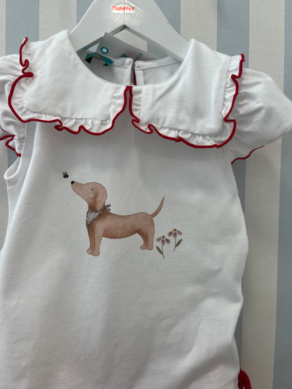 Conjunto braga volantes +camiseta Scooby la Martinica verano26