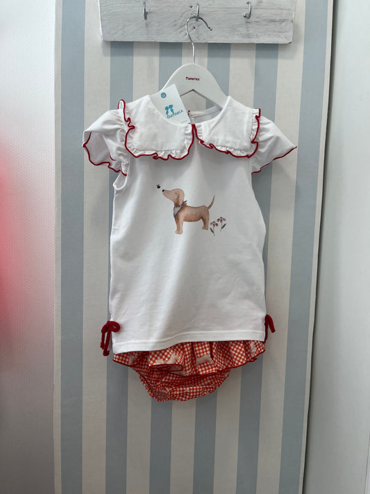 Conjunto braga volantes +camiseta Scooby la Martinica verano26